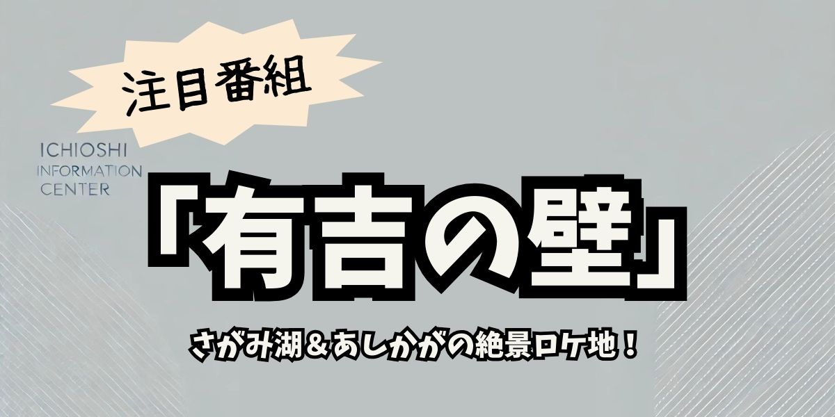 「有吉の壁」イルミネーション特集：さがみ湖＆あしかがの絶景ロケ地巡り！