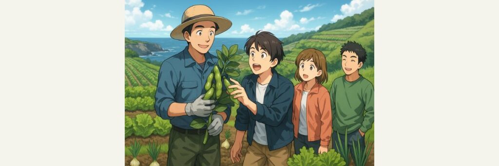 城ヶ島で栽培される幻の在来野菜とは