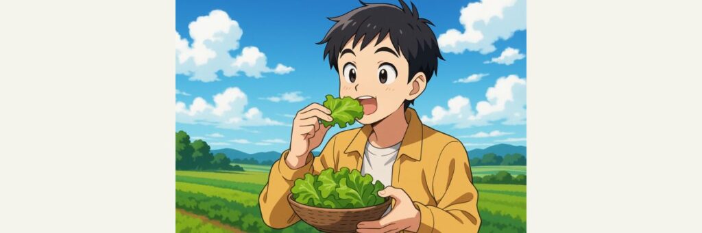 まとめ:エアリーサンチュの魅力と今後の展望