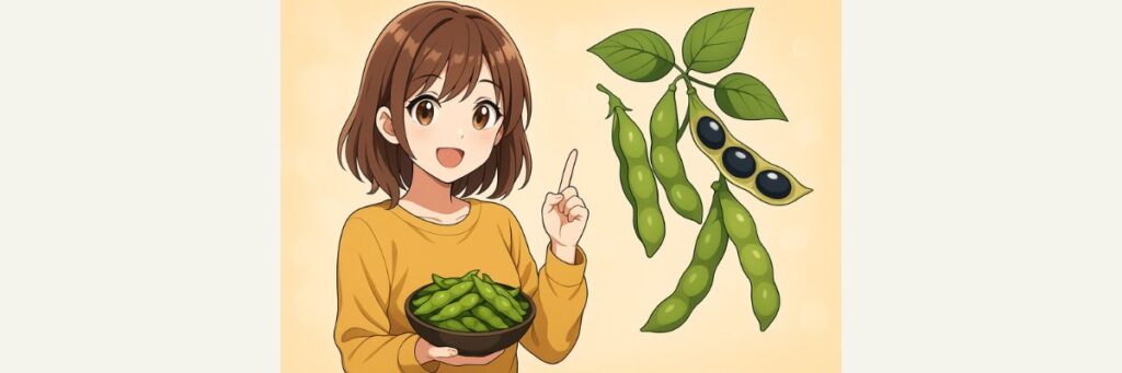 購入・お取り寄せ＆現地での楽しみ方