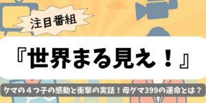 【世界まる見え！】クマの４つ子の感動と衝撃の実話！母グマ399の運命とは？