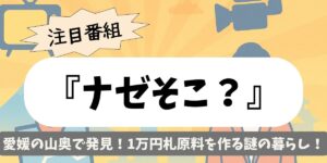 【ナゼそこ？】愛媛の山奥で発見！1万円札原料を作る謎の暮らし
