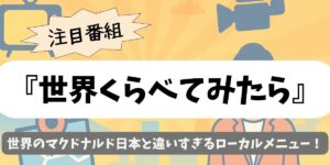 【世界くらべてみたら】世界のマクドナルド日本と違いすぎるローカルメニュー