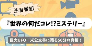 【世界の何だコレ!?ミステリー】巨大UFO｜米公文書に残る50分の真相