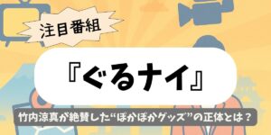 【ぐるナイ】竹内涼真が絶賛した“ぽかぽかグッズ”の正体とは？