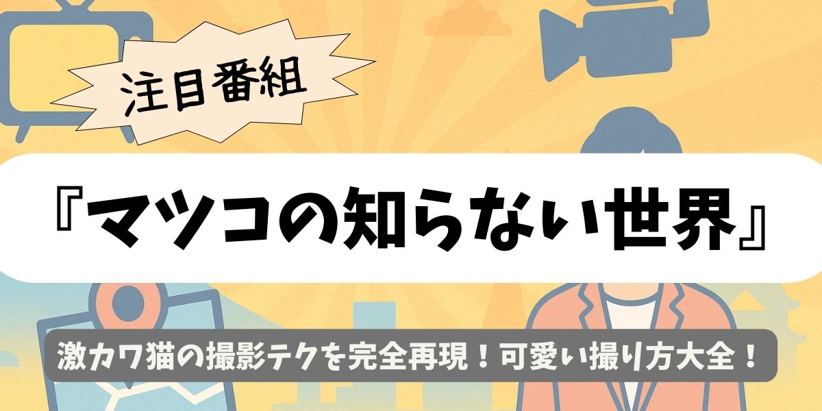 【マツコの知らない世界】激カワ猫の撮影テクを完全再現！可愛い撮り方大全