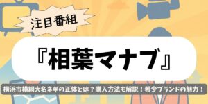 【相葉マナブ】横浜市横綱大名ネギの正体とは？購入方法も解説！希少ブランドの魅力