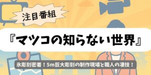 【マツコの知らない世界】氷彫刻密着！5m巨大彫刻の制作現場と職人の凄技